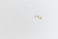 Zircon Halo Ring - Haana's